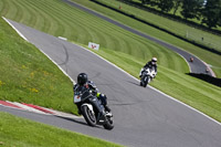 cadwell-no-limits-trackday;cadwell-park;cadwell-park-photographs;cadwell-trackday-photographs;enduro-digital-images;event-digital-images;eventdigitalimages;no-limits-trackdays;peter-wileman-photography;racing-digital-images;trackday-digital-images;trackday-photos